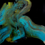 "Knospe" Acryl auf Leinwand 40 x 40